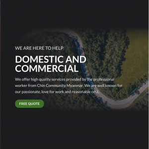 Screen Shot 2021-01-11 at 10.46.51 pm